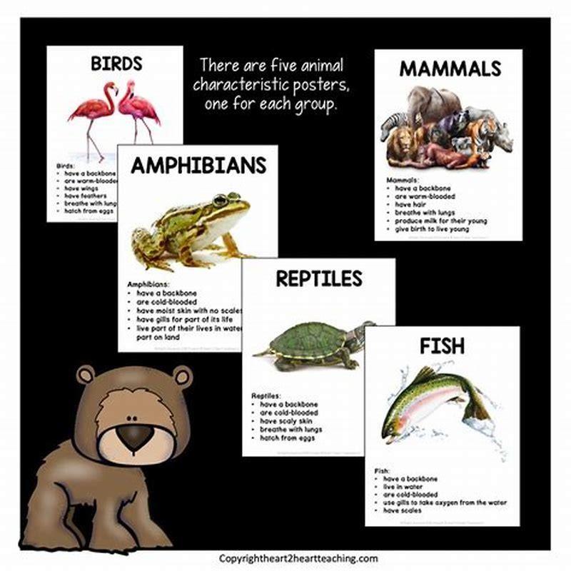 Are birds amphibians?