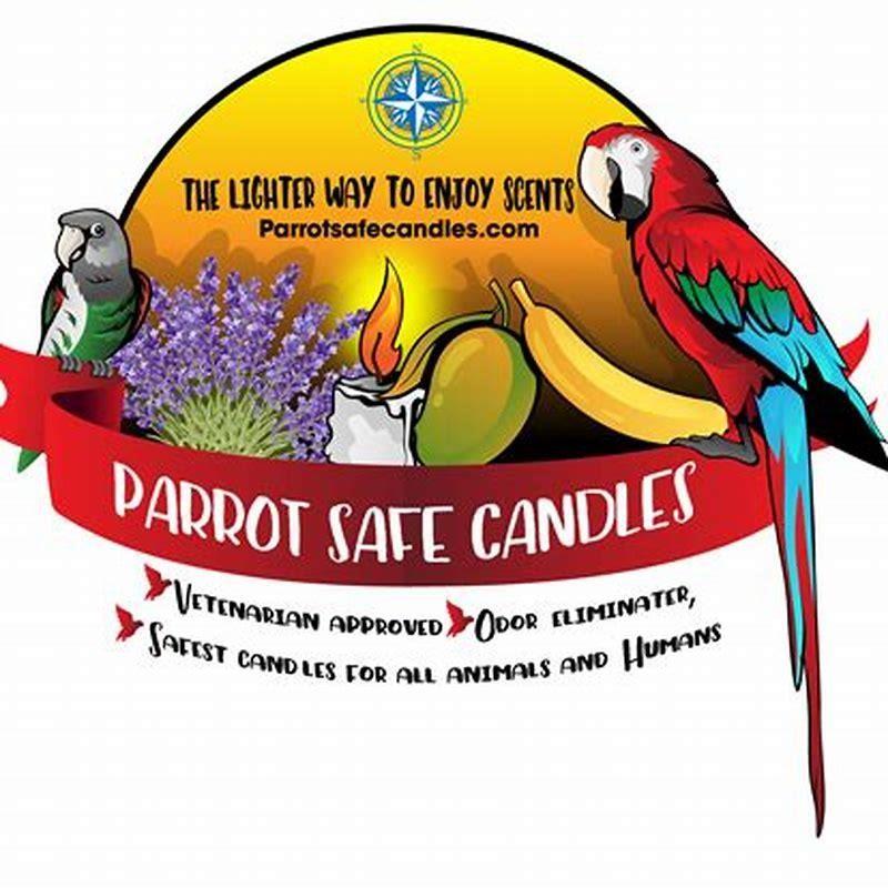 Why Are Scented Candles Bad For Birds at Valeria Sanchez blog