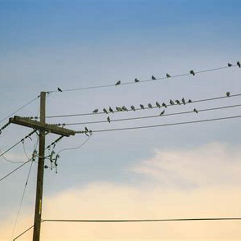 My Image 11