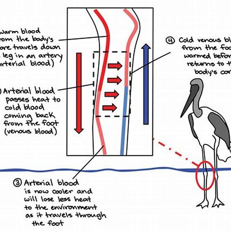 How To Monitor Bowel Movements