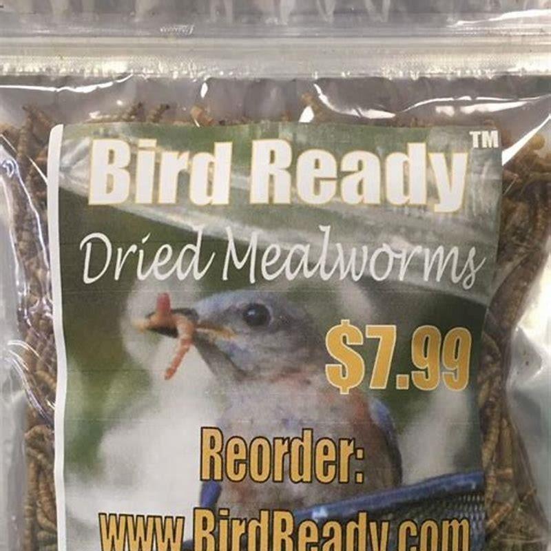 Can you put dried mealworms in a bird feeder?