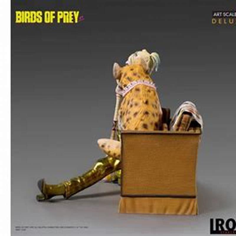 Did Bruce die Birds of Prey?