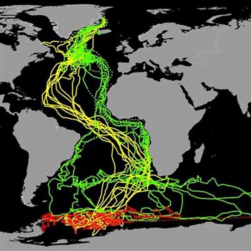 Do any birds fly north for the winter?
