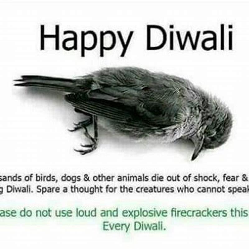 Do birds die from fireworks?