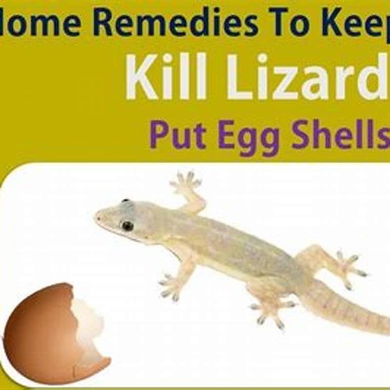 do-birds-kill-lizards-diy-seattle