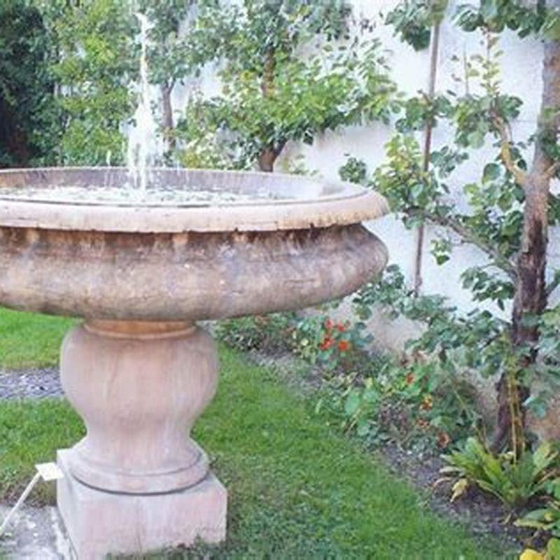 Do birds like fountains in their bird baths? DIY Seattle