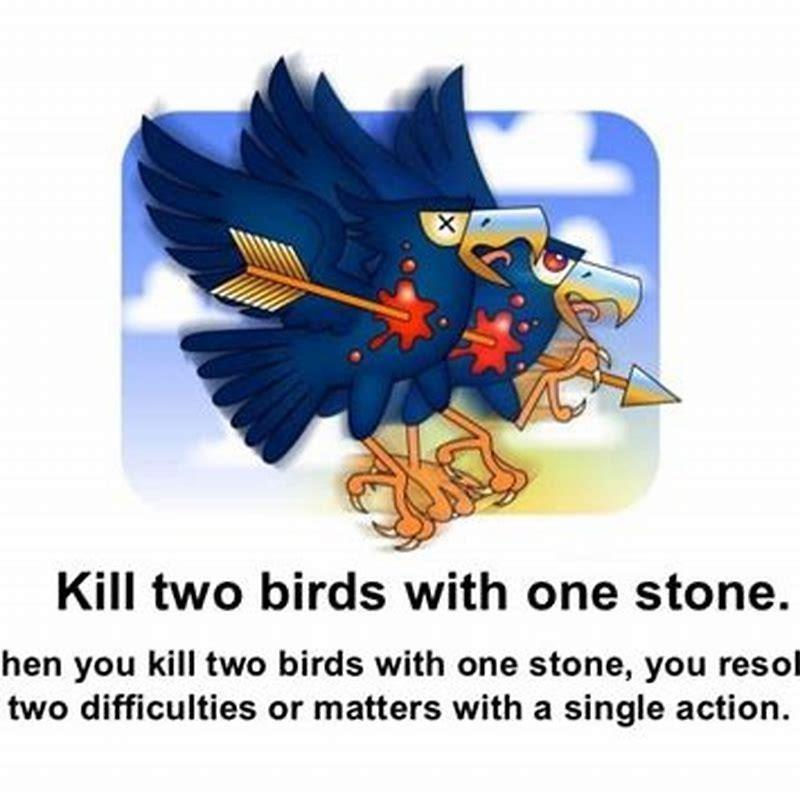 Do birds see two things at once?