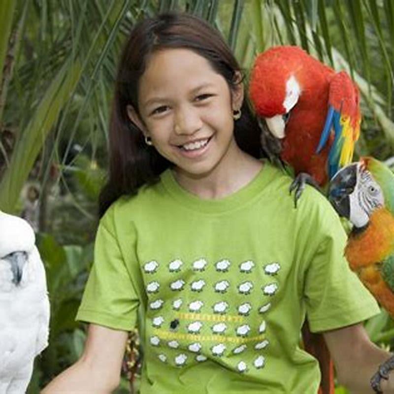 Do Vasa parrots make good pets?