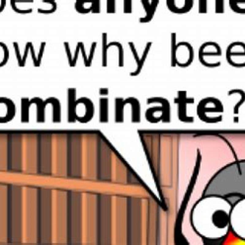 Does anything eat honey bees?
