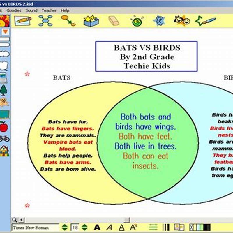 How are birds and bats alike and different? - DIY Seattle