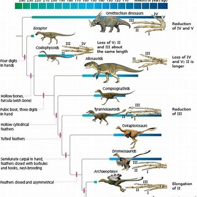 How did birds first evolve? - DIY Seattle