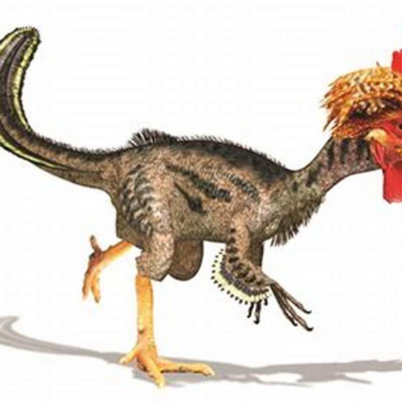 How did dinosaurs turn into chickens?