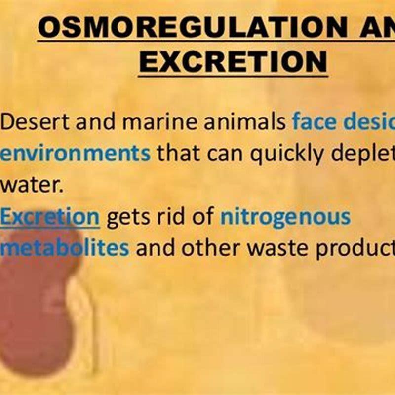 How do birds eliminate nitrogenous waste quizlet?