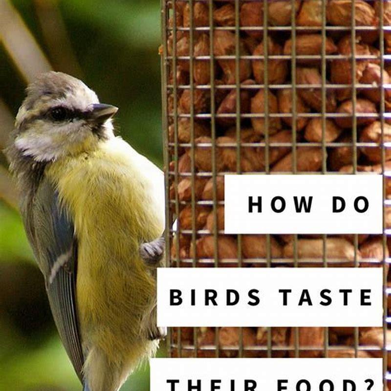 How do birds get their food?