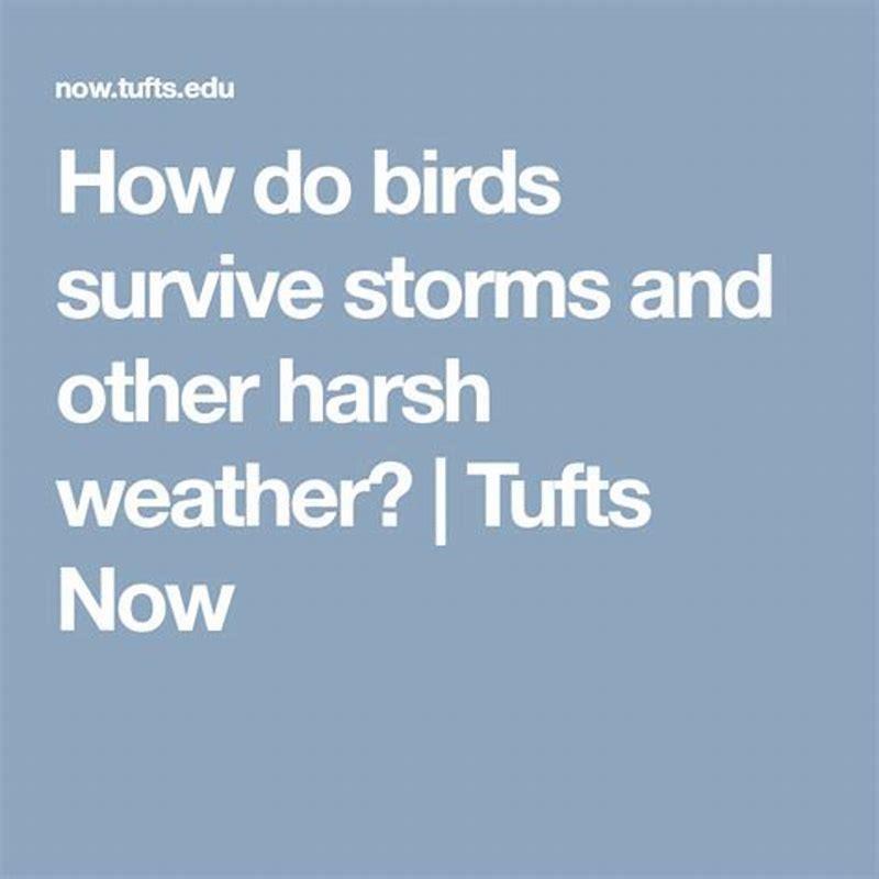 How Do Birds Survive In Storms Diy Seattle 5368