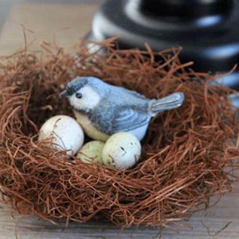 How do love birds make nests?
