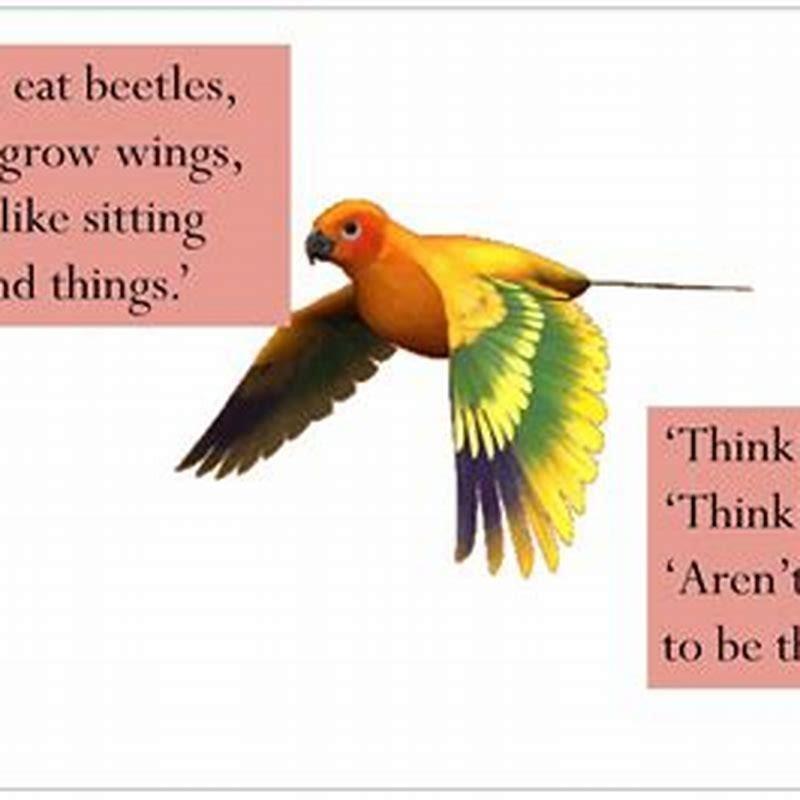 How do some birds talk?