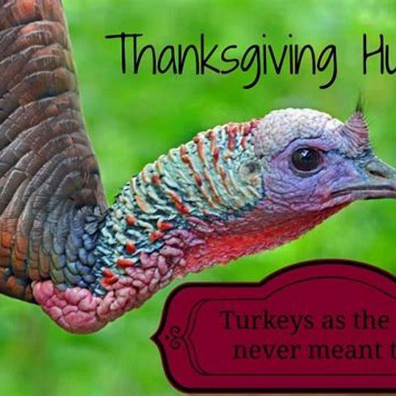 How do you clean dirty taxidermy?