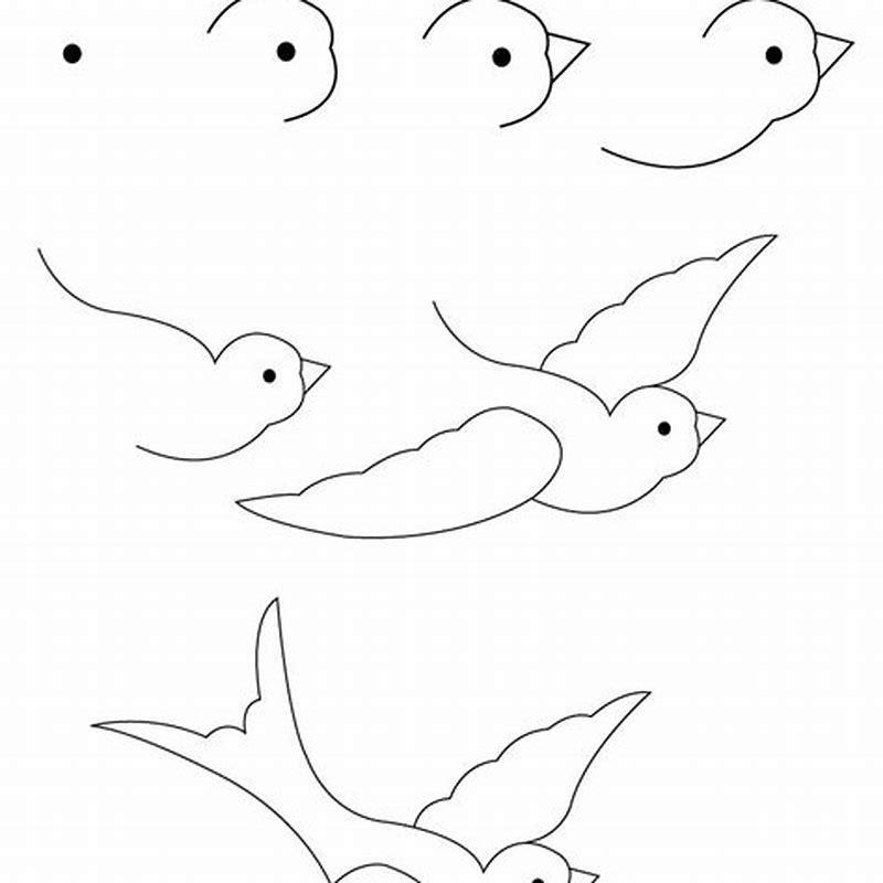 how-do-you-draw-a-bird-step-by-step-diy-seattle