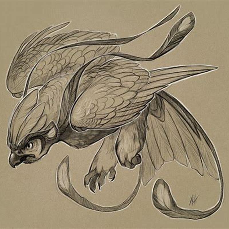 How do you draw a easy beautiful bird?
