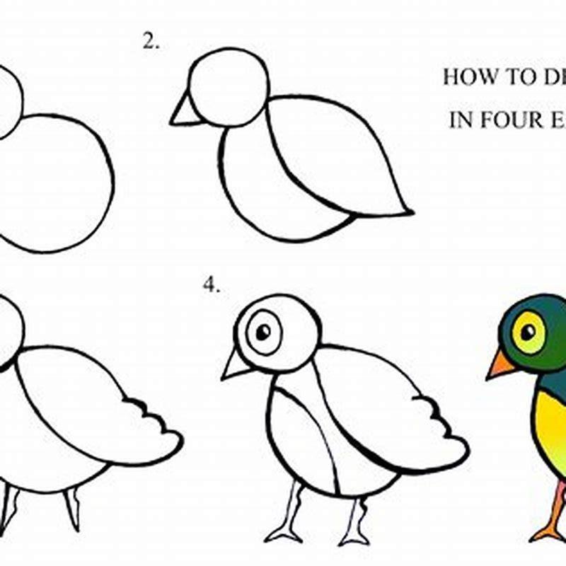 How do you draw a easy bird step by step?
