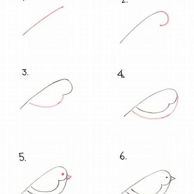 How do you draw a small bird easy? - DIY Seattle