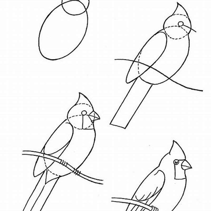 how-do-you-draw-and-paint-a-bird-diy-seattle