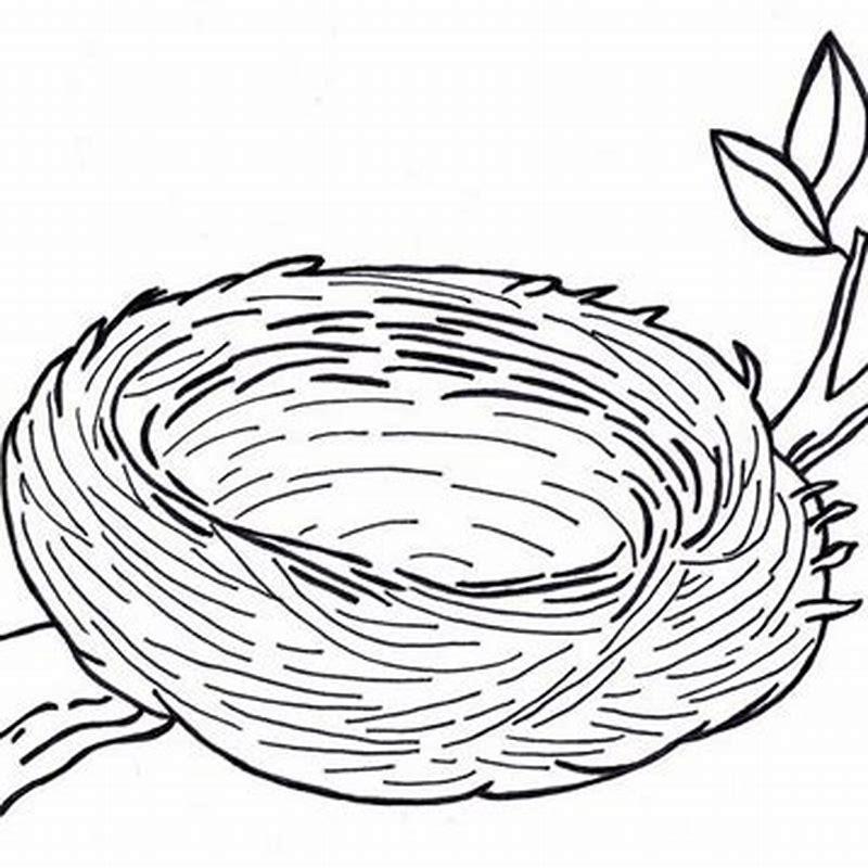 How do you draw birds nest?