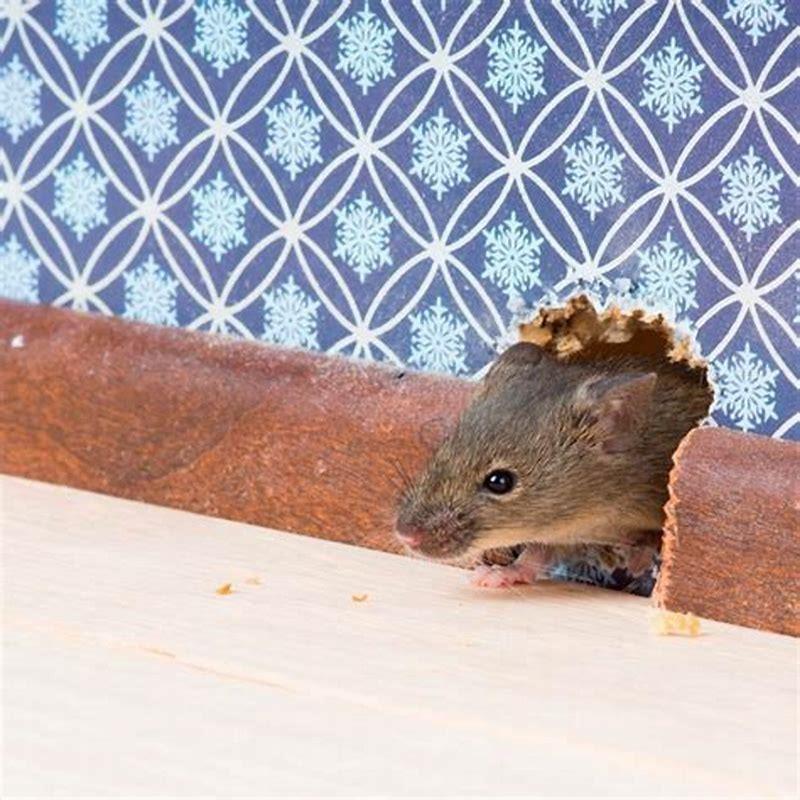 How do you get rid of mice with birds?