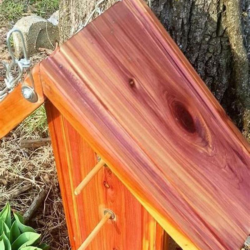How do you hang orange slices on birds?