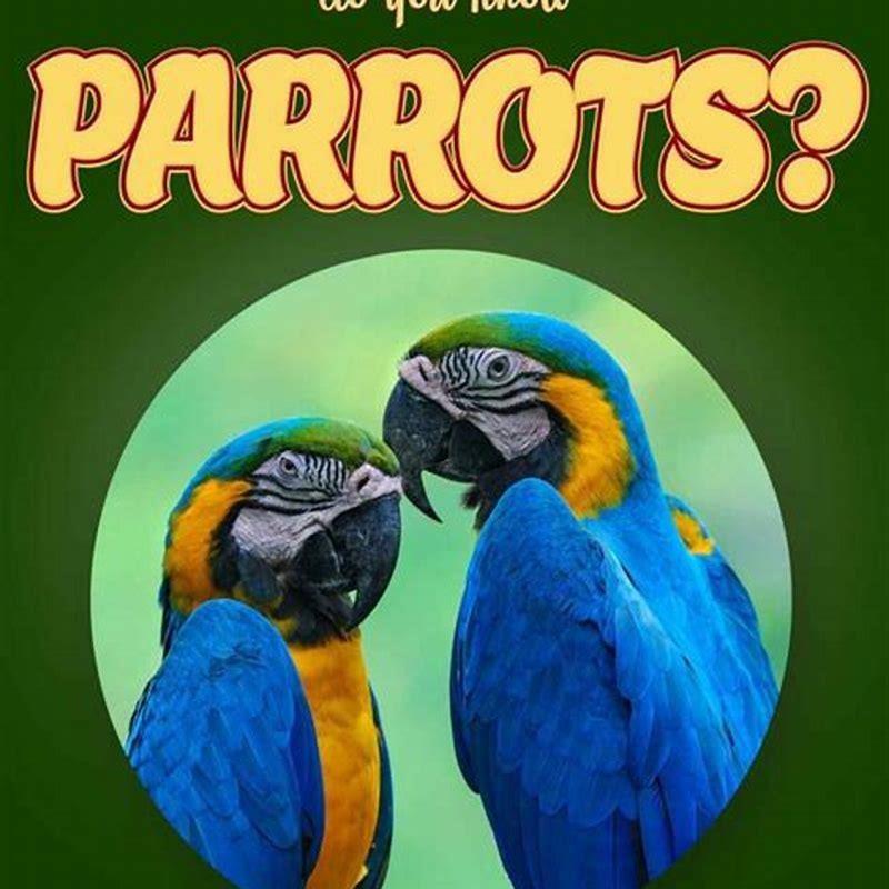 How do you help the birds that live in your surroundings?