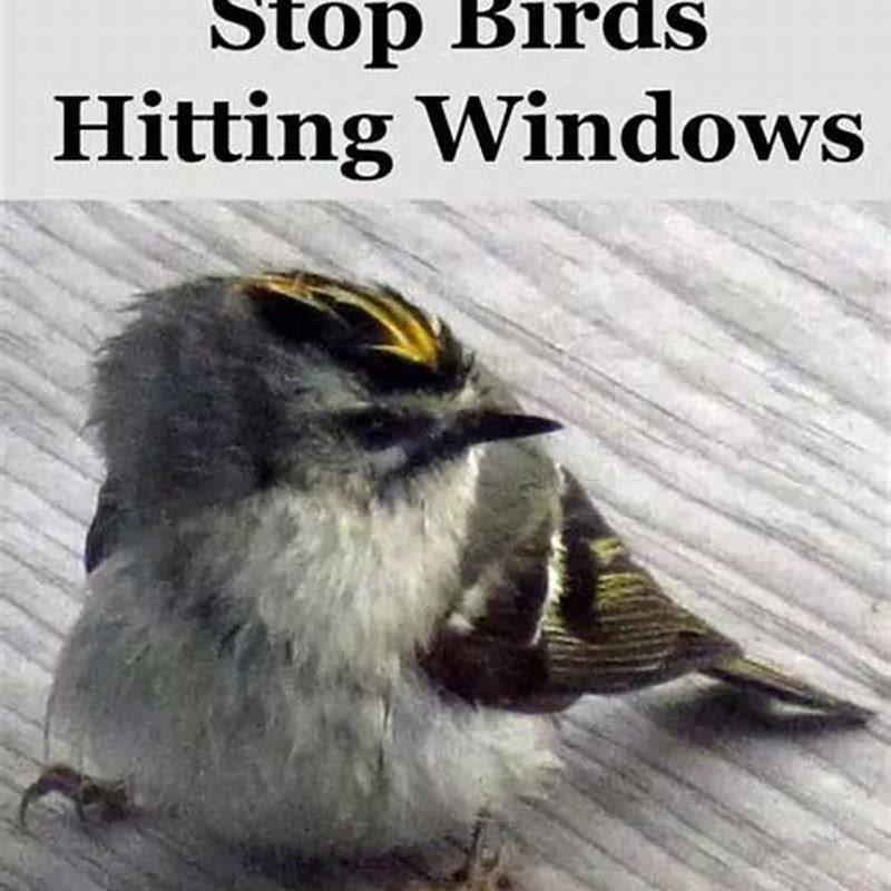 How do you keep a pet bird from flying away?
