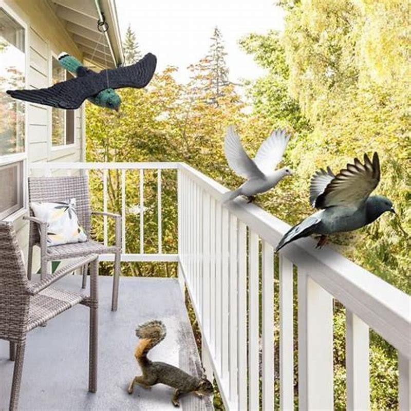 how-do-you-keep-predatory-birds-out-of-your-yard-diy-seattle