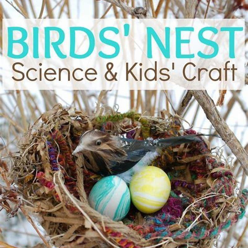 How do you make a bird nest for a project?