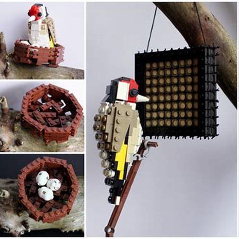 How do you make a Lego parrot? - DIY Seattle