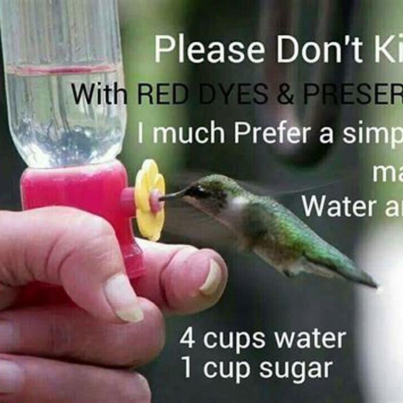 How do you make sugar water for garden birds? DIY Seattle