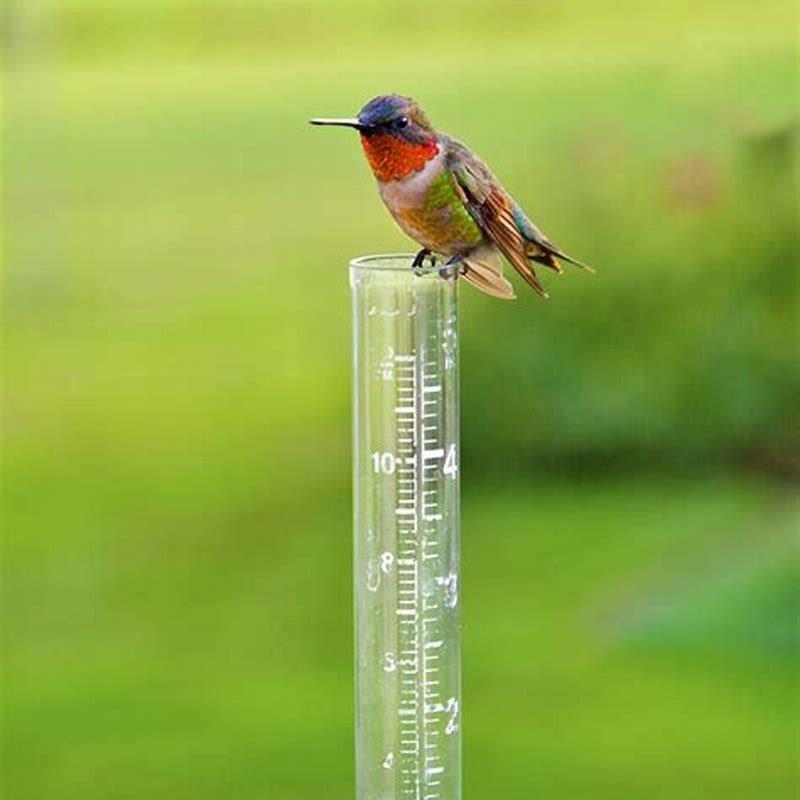 How do you spot clean an Allbird?
