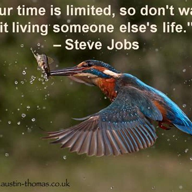 How do you start a bird business? DIY Seattle