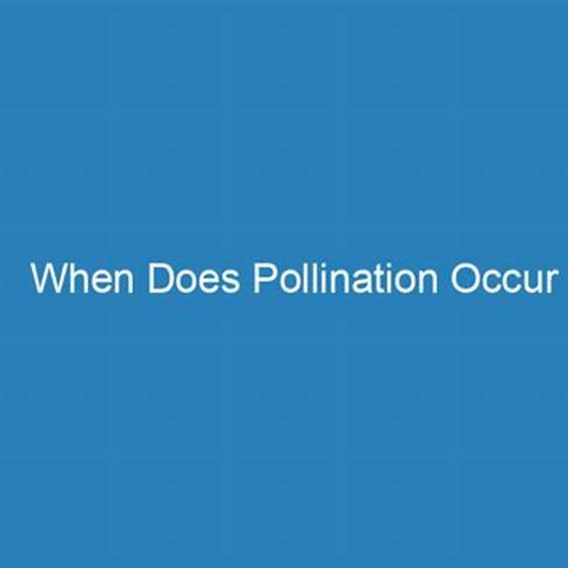 How does pollination occur in birds?
