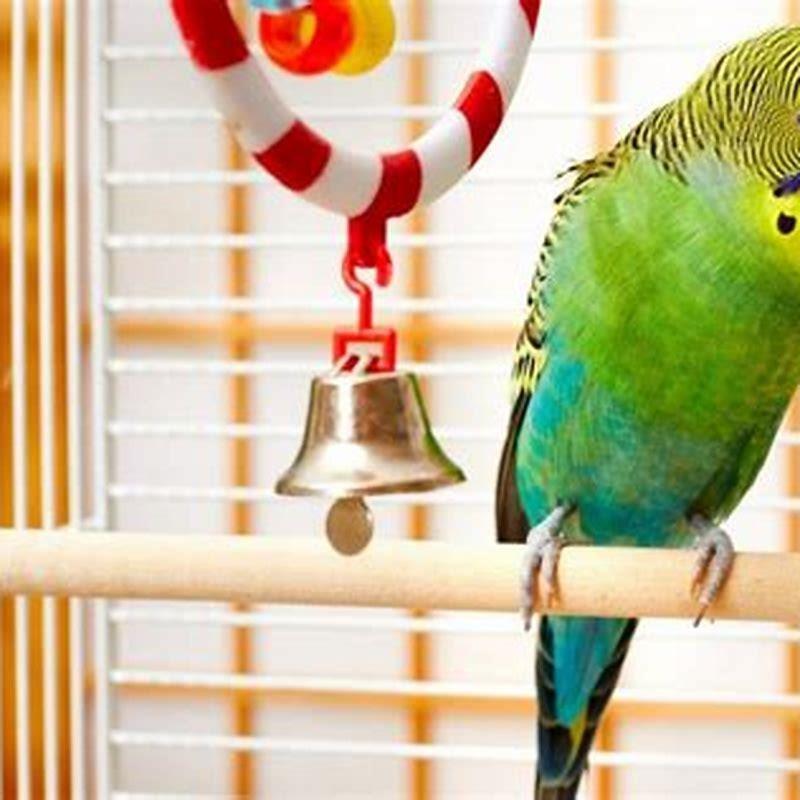 How long does it take to earn a birds trust?