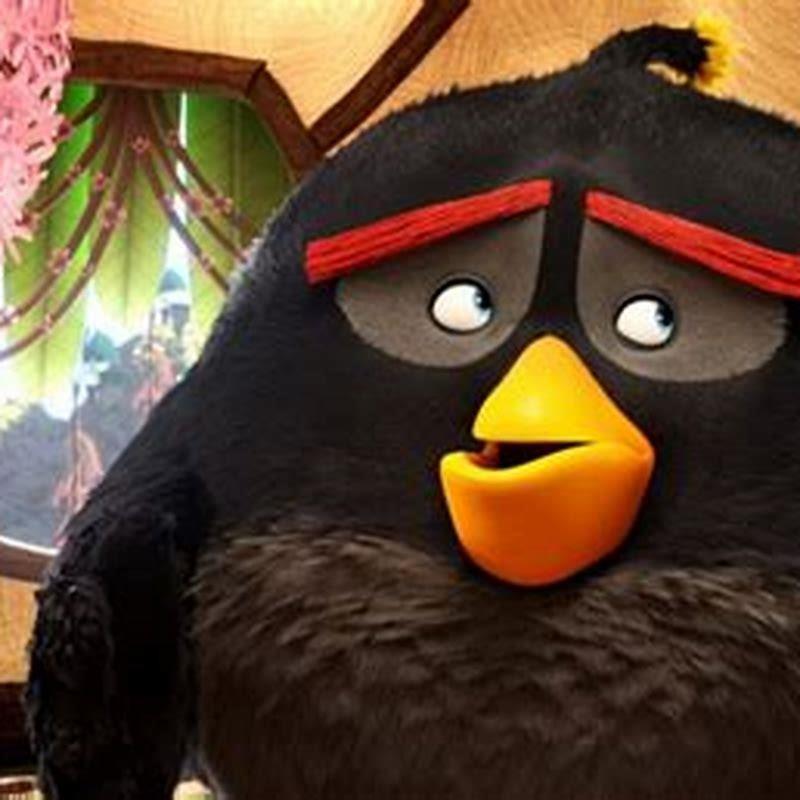 how-many-parts-are-there-in-angry-birds-movie-diy-seattle