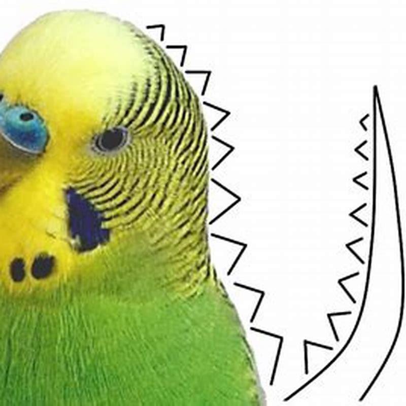 Is a budgie a dinosaur?
