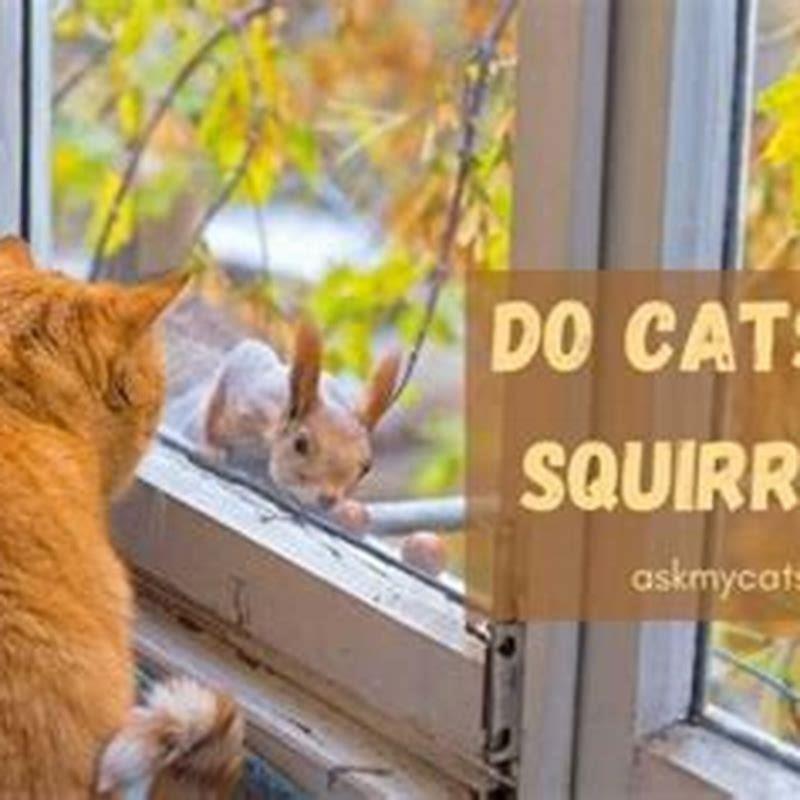 Is it normal for cats to eat birds?