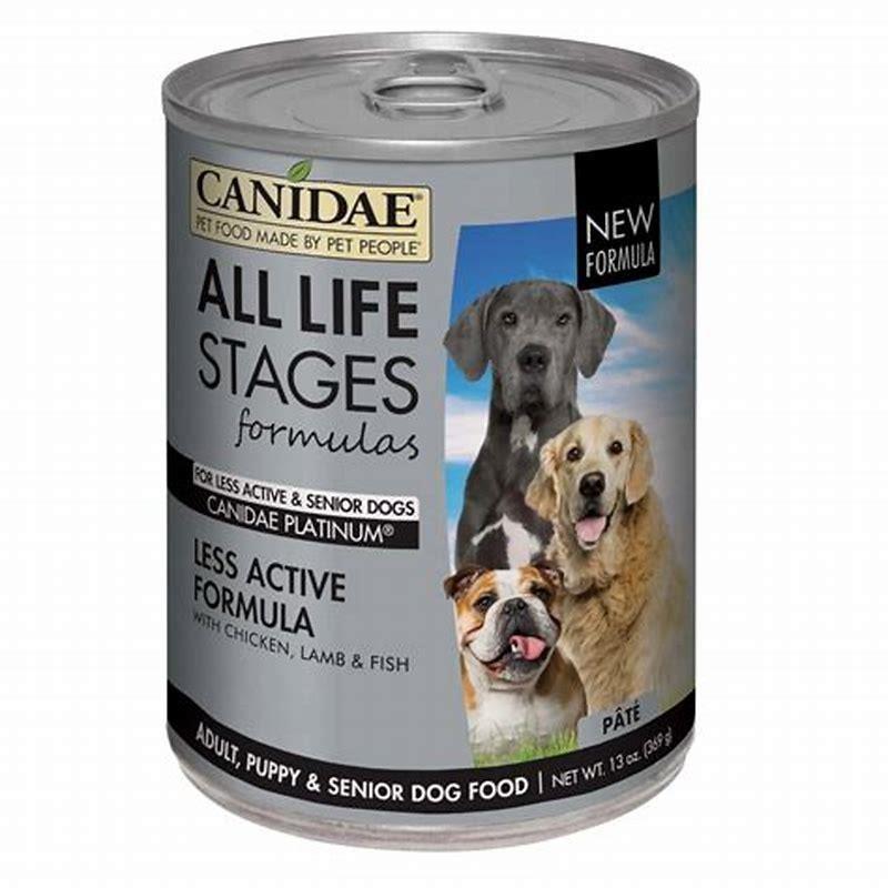 Is it OK to feed birds dog food?