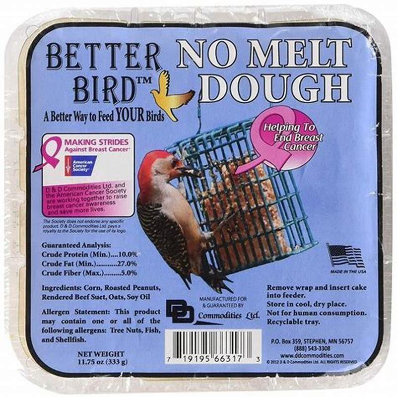 is-it-okay-to-feed-birds-bread-diy-seattle