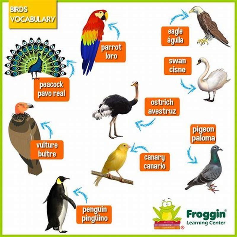 Is it possible to speak to birds?