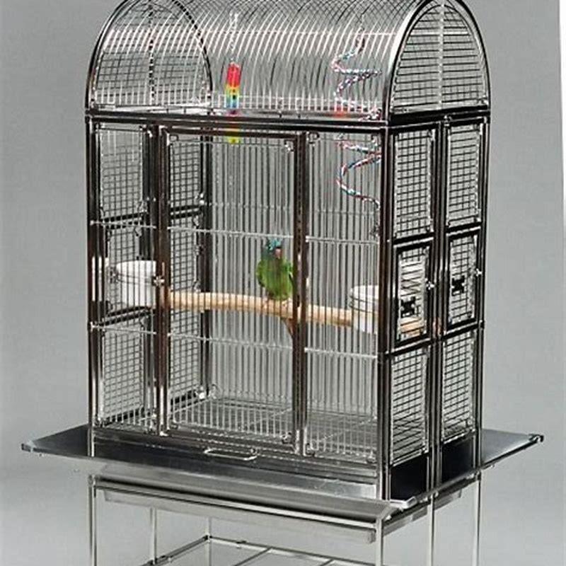 is-stainless-steel-safe-for-parrots-diy-seattle