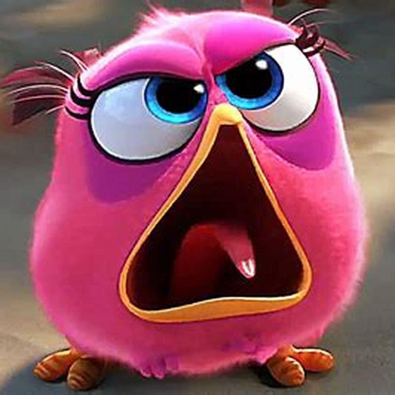 is-the-angry-birds-movie-disney-diy-seattle