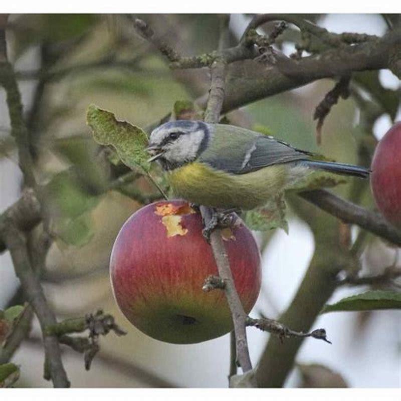 What are birds called that eat other birds?