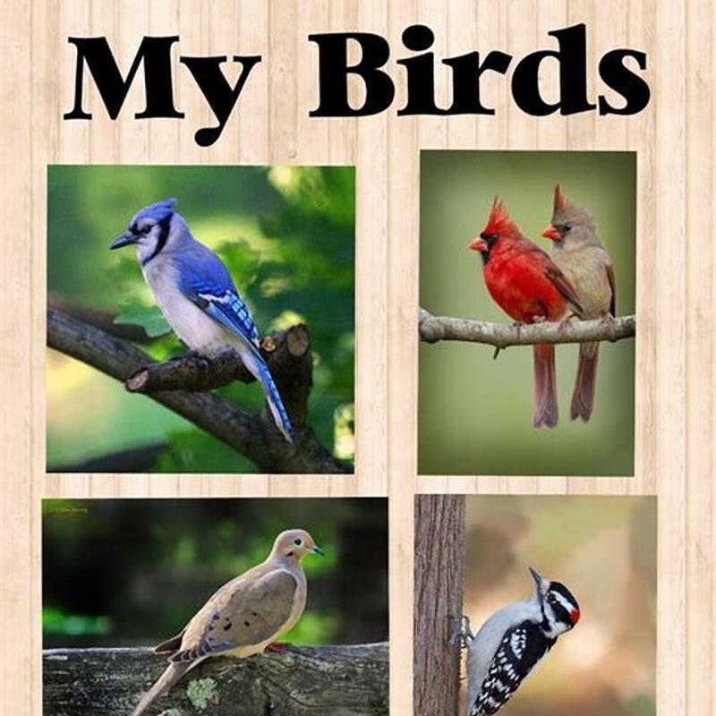 What are the cries of birds called?